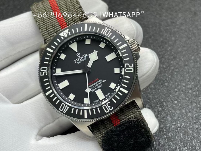 TUDOR M25717N-0001 PELAGOS FXD Titanium Replica Watch for Sale 第2张