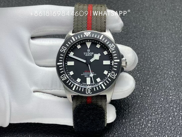 TUDOR M25717N-0001 PELAGOS FXD Titanium Replica Watch for Sale 第1张