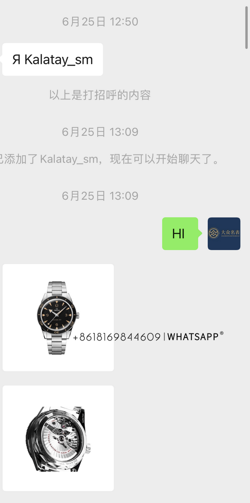 Here is the transaction record of a Russian customer purchasing a OMEGA 300 SEAMASTER 第1张