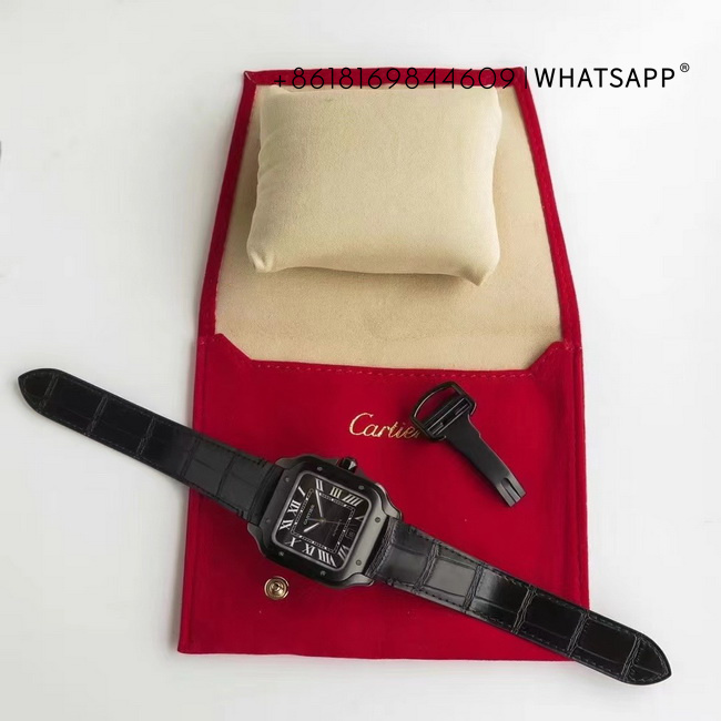 1:1 Clone SANTOS DE CARTIER WSSA0039 Watch for Sale 第9张