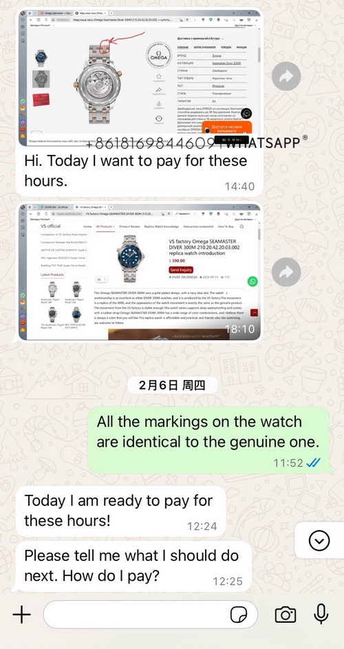 Transaction screenshot of the OMEGA SEAMASTER in blue purchased by a customer from Russia 第1张